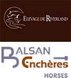 Elevage de Riverland / Balsan Enchères