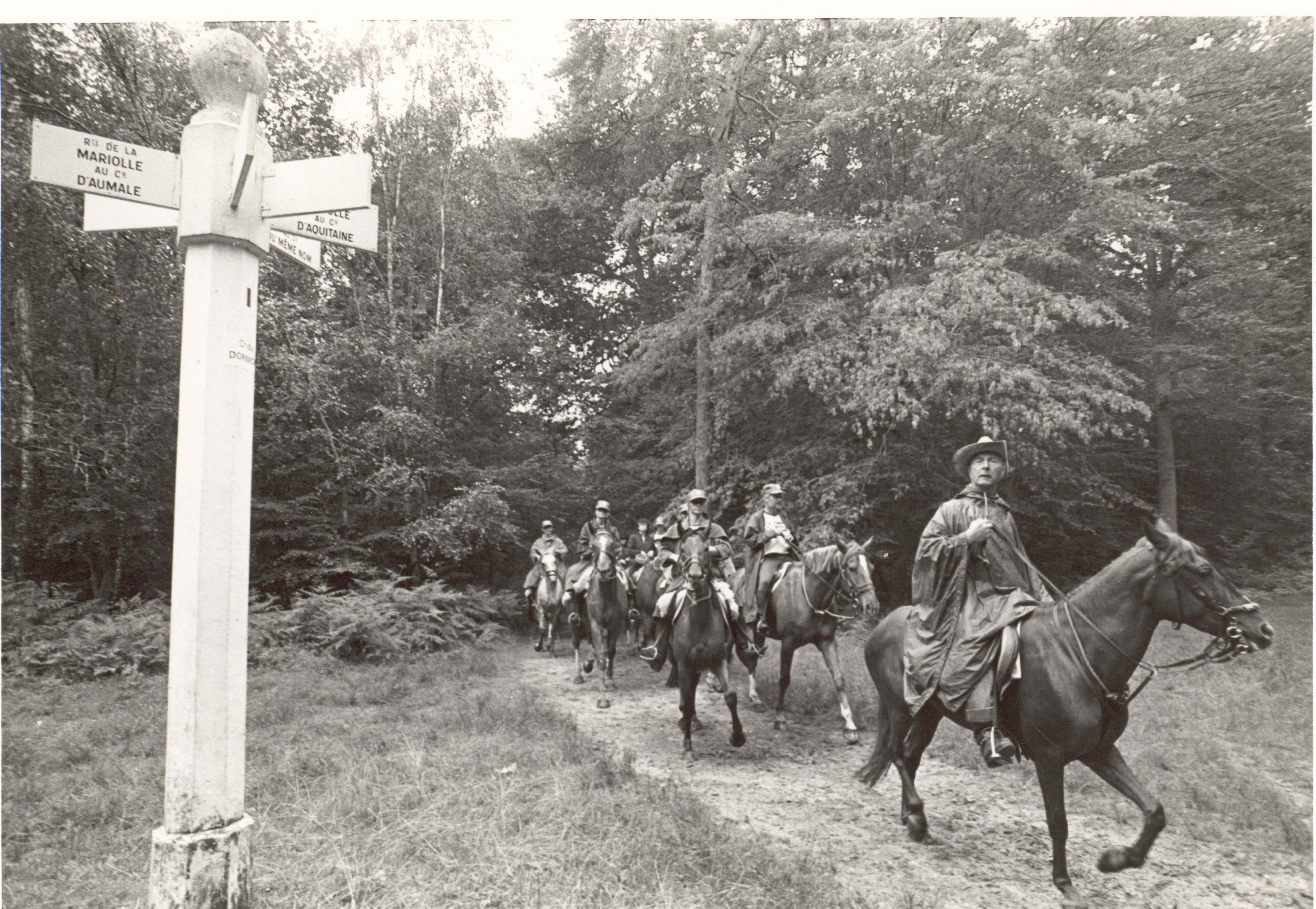 CP 60 ans du Tourisme équestre
